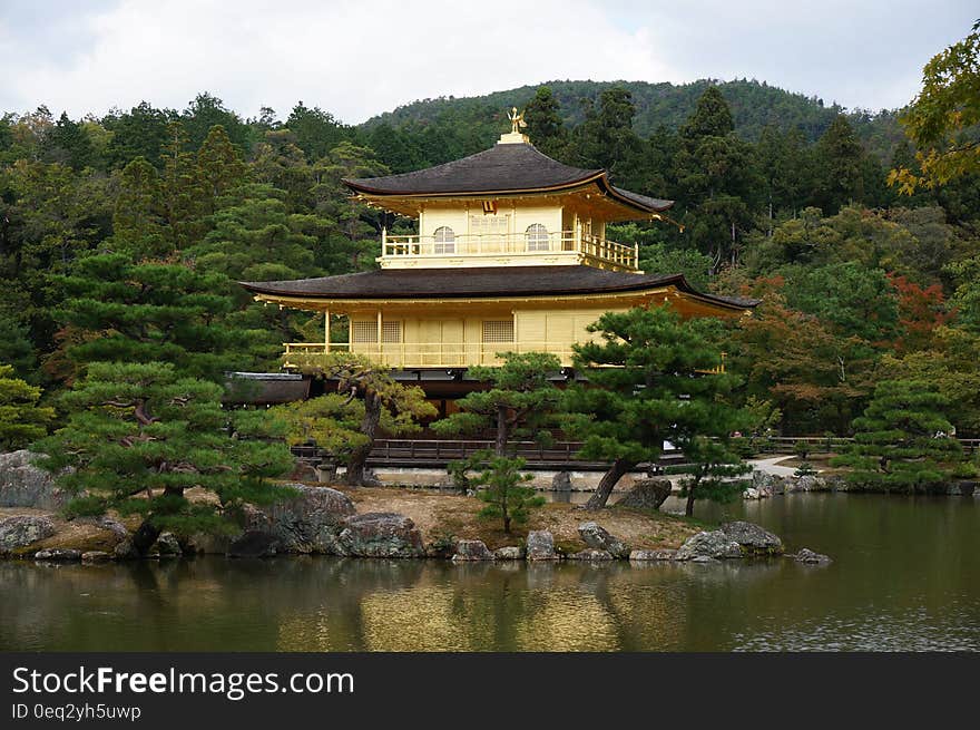 Brown and Black Temple Surrounded by Trees