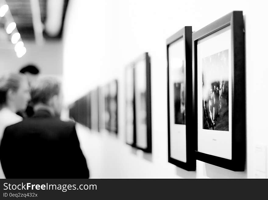 Visitors look at photography exhibition in museum or art gallery