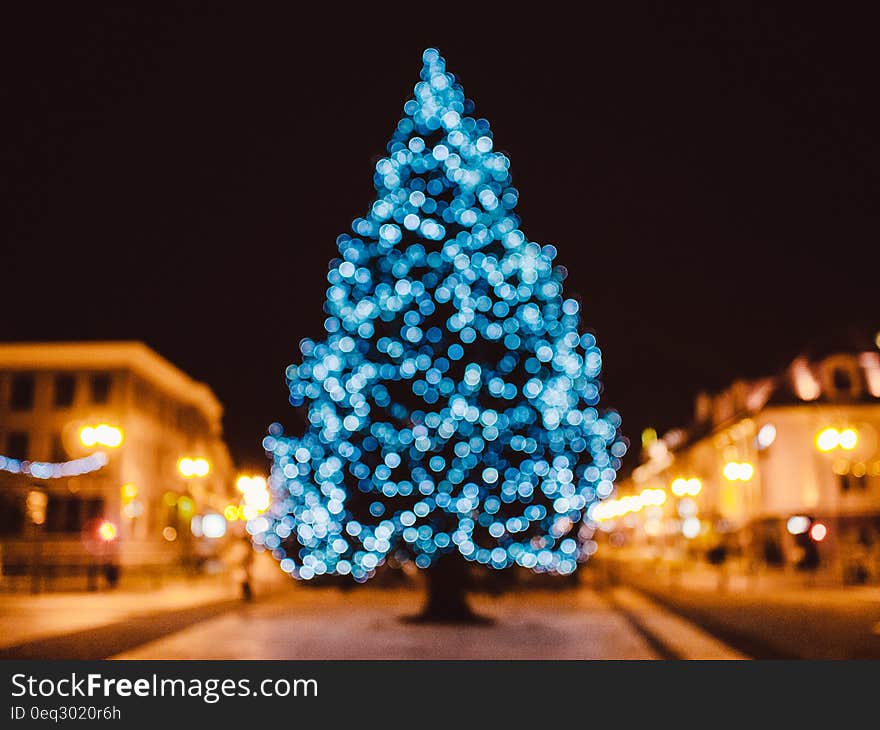 Decorated Christmas tree in city at night.