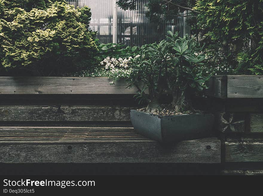 Black Plant Box on Bench