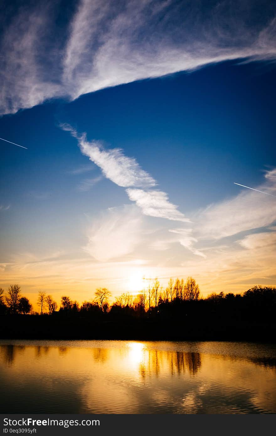 Silhouettes of Trees During Sunset