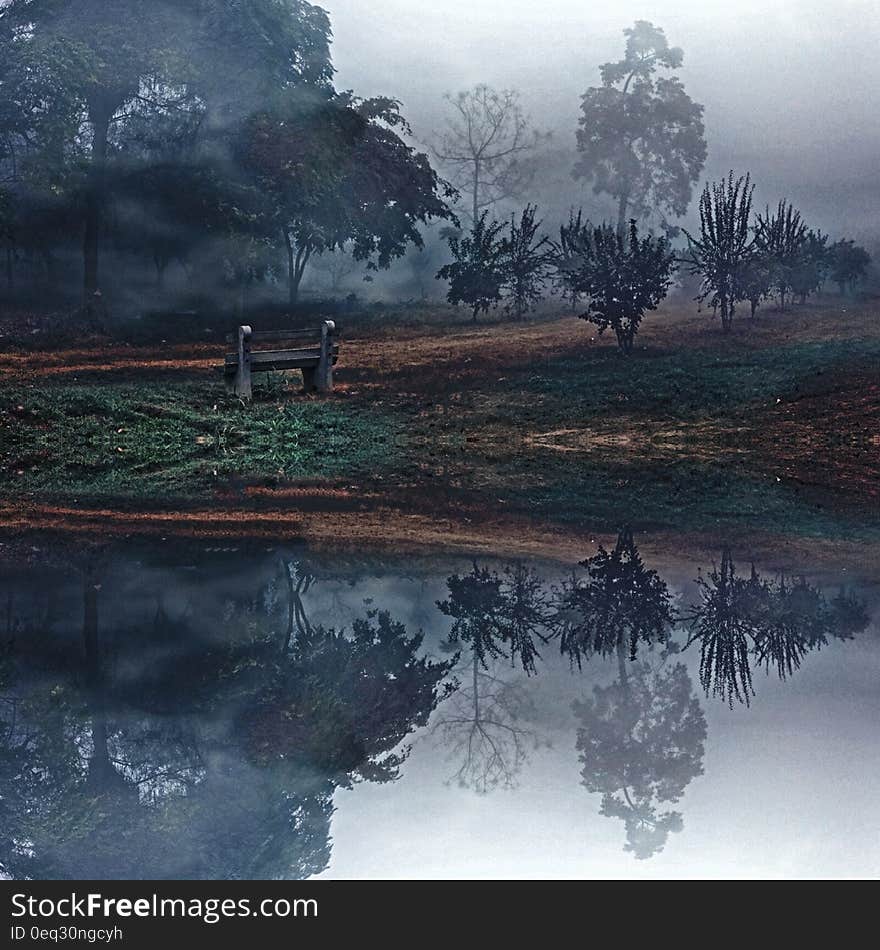 Idyllic landscape with lake and trees in fog. Idyllic landscape with lake and trees in fog.