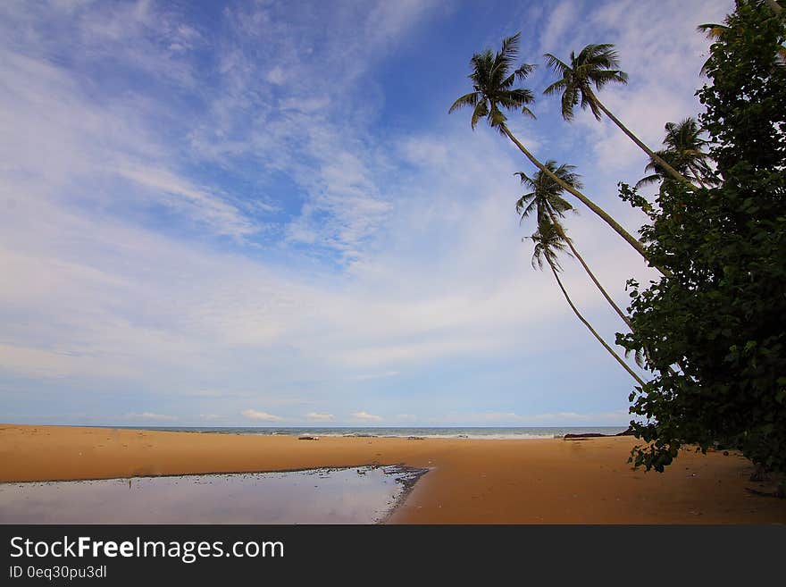 Blue Sky Above Beach during Daytime