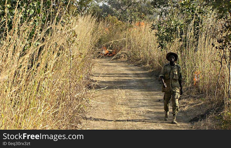 African male ranger walking on savanna path, sunny day. African male ranger walking on savanna path, sunny day.