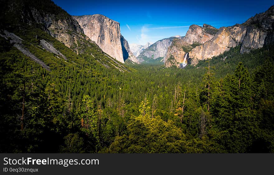 Green Forest Trees Between Beige Rock Formation Under Clear Sky during Daylight