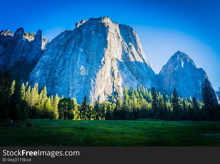 Green Leaved Trees Near Mountains