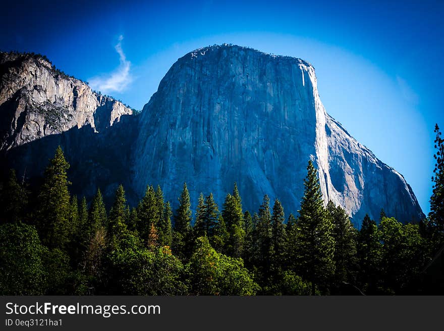 Green Pine Trees in Front of a Rock Mountain