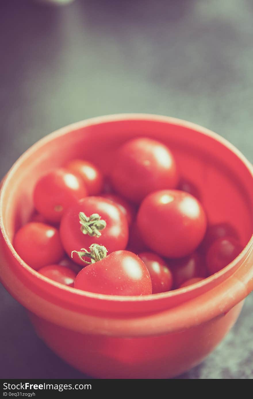 Red Tomato on Orange Round Plastic Container