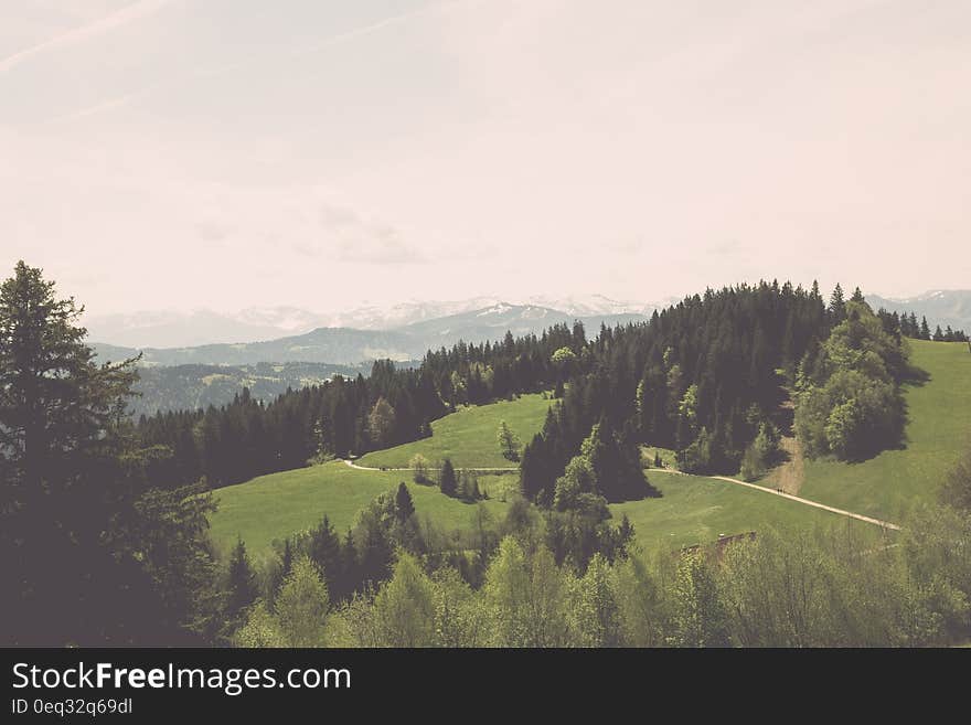 Outdoor scenery in a mountain landscape with forest