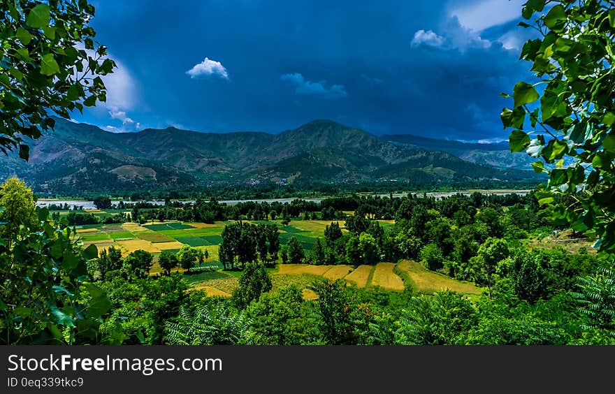 Green Mountain Distance With Trees