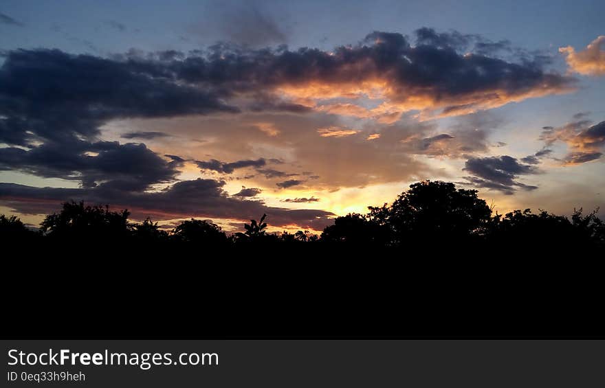 Black Forest Under Cloudy Sky during Sunset