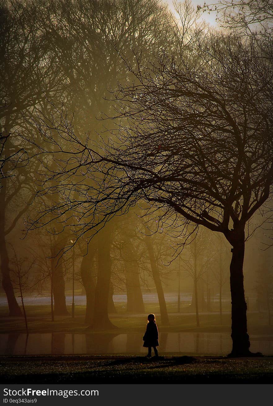 Brown Photo of Girl Standing Near Tree