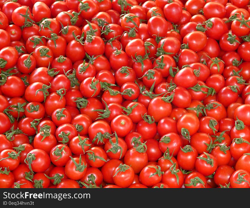 Red Tomatoes