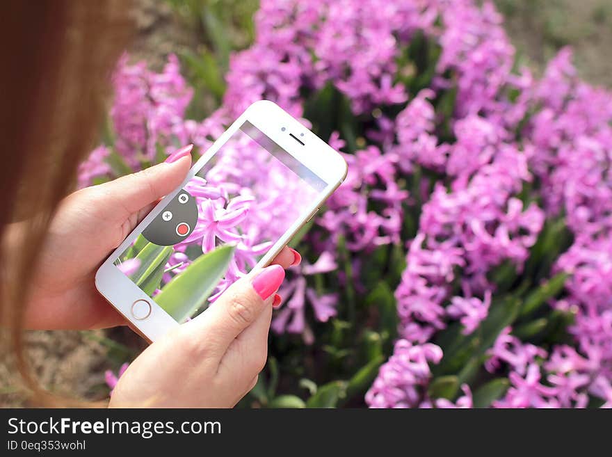 Woman photographing flowers with smartphone app in the spring season