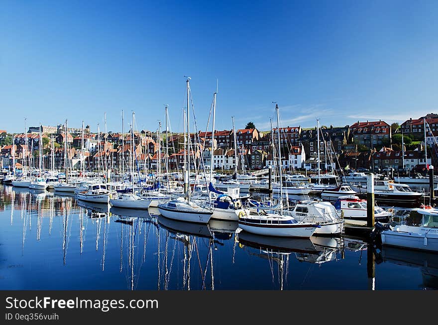 White Sailing Boats Near Shore during Daytime