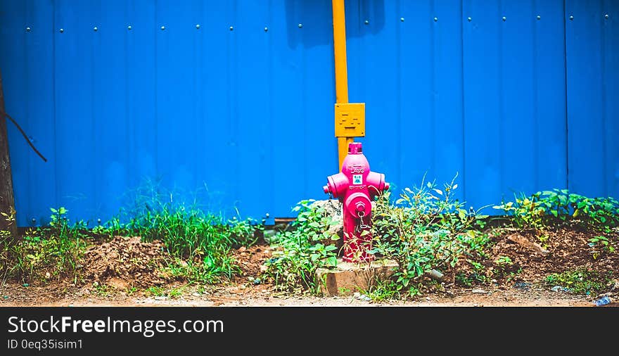 Pink Steel Water Pump Behind Blue Fence