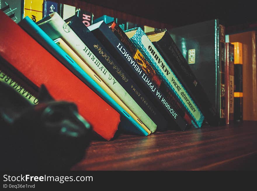 Black White Book Set in Brown Wooden Book Shelf