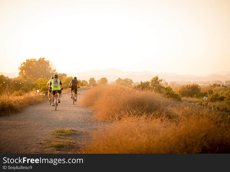 Bicyclists riding on country road, seen from behind. Bicyclists riding on country road, seen from behind