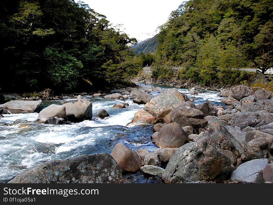 The Hollyford River is located in the southwest of the South Island of New Zealand. It runs for 128 kilometres &#x28;80 mi&#x29; through Fiordland, its source being 10 kilometres &#x28;6.2 mi&#x29; to the north of the northern tip of Lake Te Anau and close to the Homer Tunnel. The river flows north through the glacier-formed Hollyford Valley, passing through Lake McKerrow before reaching Martins Bay on the coast of the Tasman Sea 25 kilometres north of Milford Sound. The Hollyford Track follows the river&#x27;s course. Part of the river&#x27;s course is traditionally regarded as the boundary between the Southland and Otago regions. The Hollyford River is located in the southwest of the South Island of New Zealand. It runs for 128 kilometres &#x28;80 mi&#x29; through Fiordland, its source being 10 kilometres &#x28;6.2 mi&#x29; to the north of the northern tip of Lake Te Anau and close to the Homer Tunnel. The river flows north through the glacier-formed Hollyford Valley, passing through Lake McKerrow before reaching Martins Bay on the coast of the Tasman Sea 25 kilometres north of Milford Sound. The Hollyford Track follows the river&#x27;s course. Part of the river&#x27;s course is traditionally regarded as the boundary between the Southland and Otago regions.