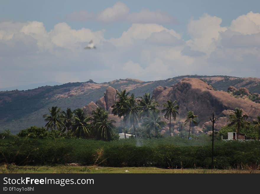 Thiruparankundram Lake. Thiruparankundram Lake