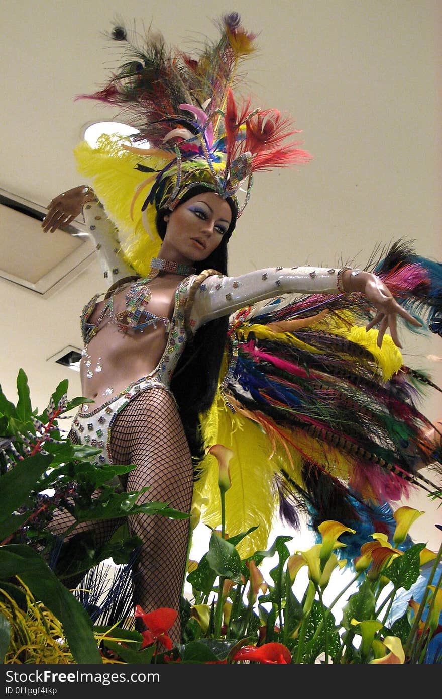 mannequin with feather costume