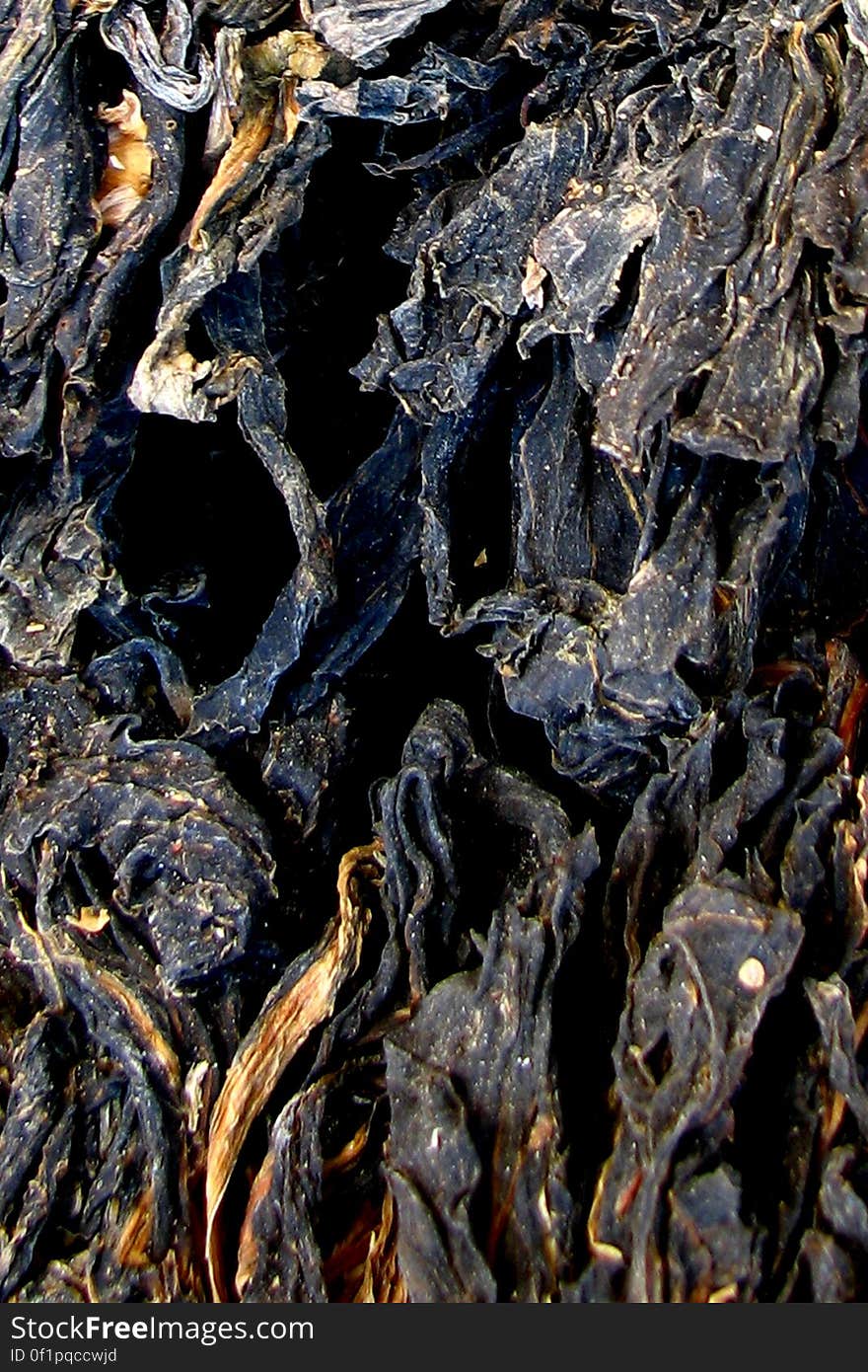 rough wood texture