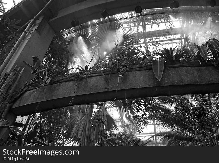 botanical garden steam