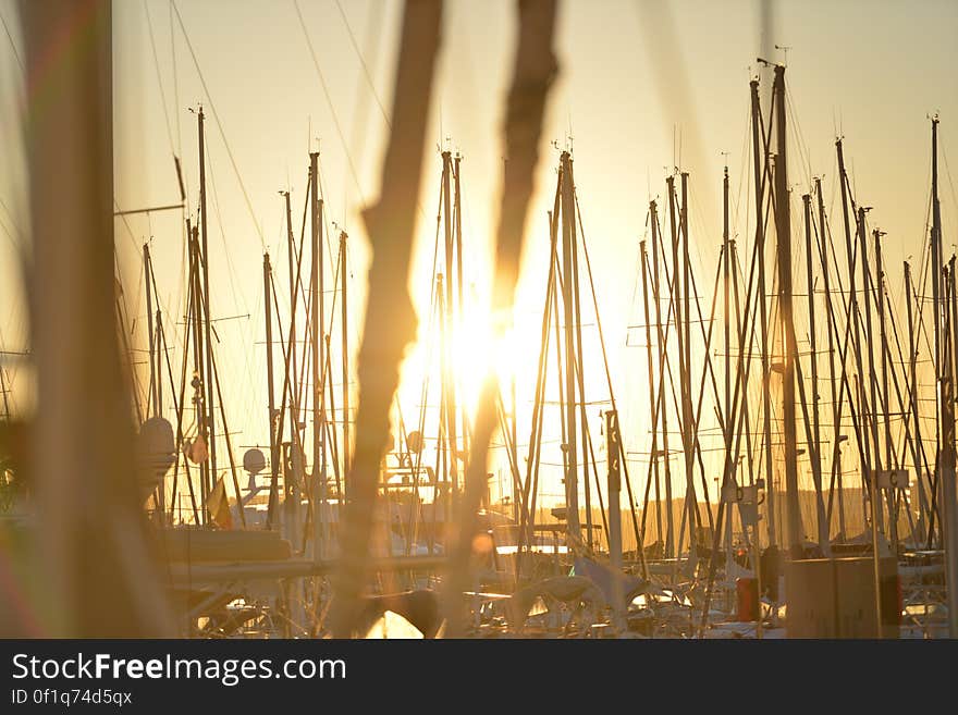 Silhouette of sailboats in harbor at sunset.