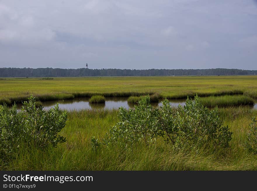 Chincoteague, VA, USA. Chincoteague, VA, USA