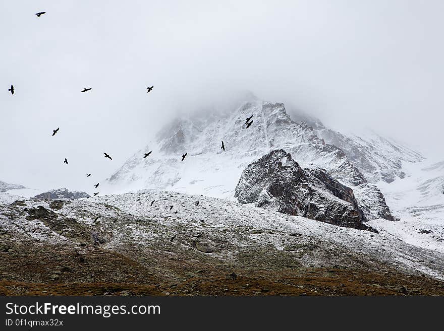 License: Public Domain Dedication &#x28;CC0&#x29; Source: Unsplash Learn more about the Swiss Alps on Wikipedia.