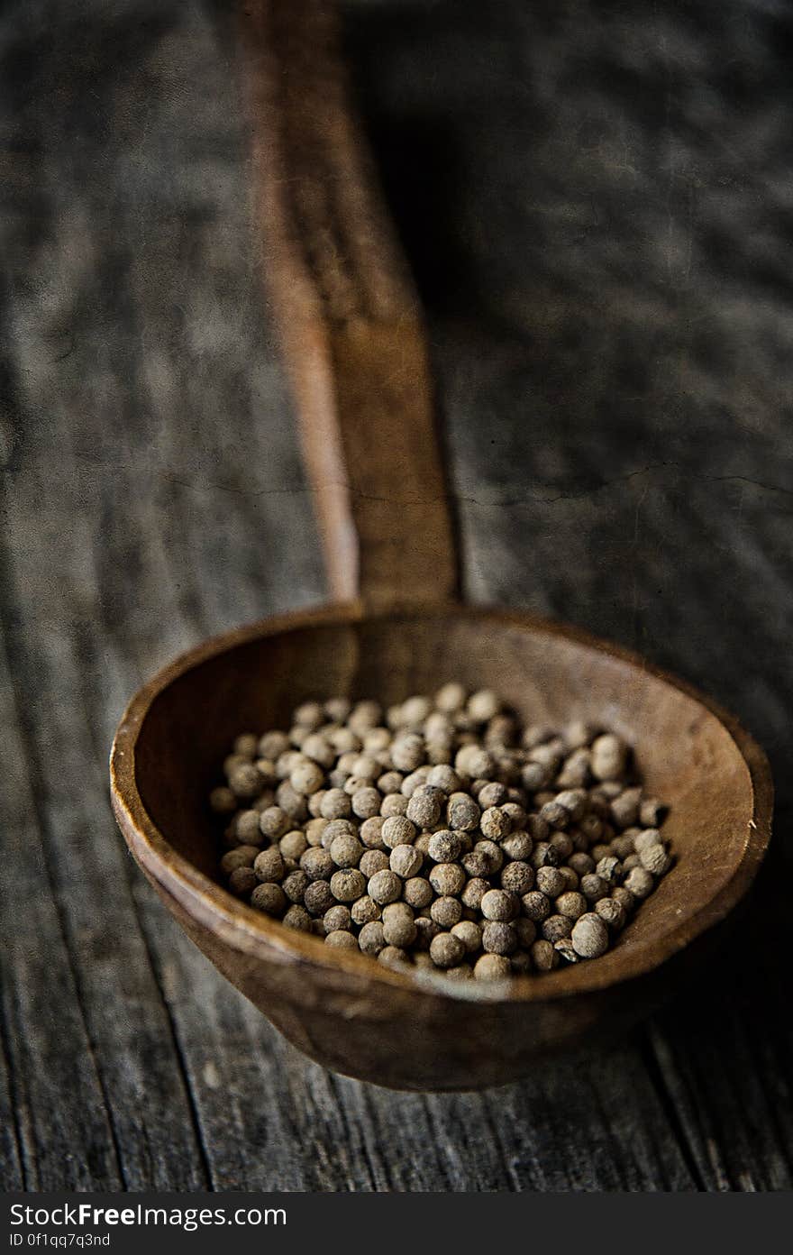 Brown Beans on a Brown Wooden Spoon