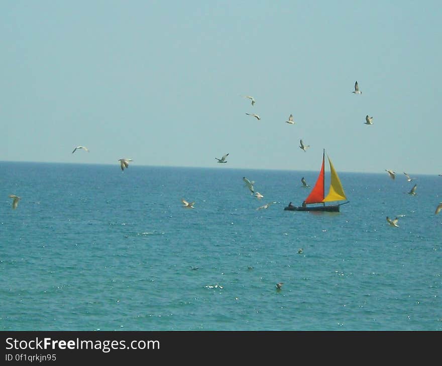 boat on the sea