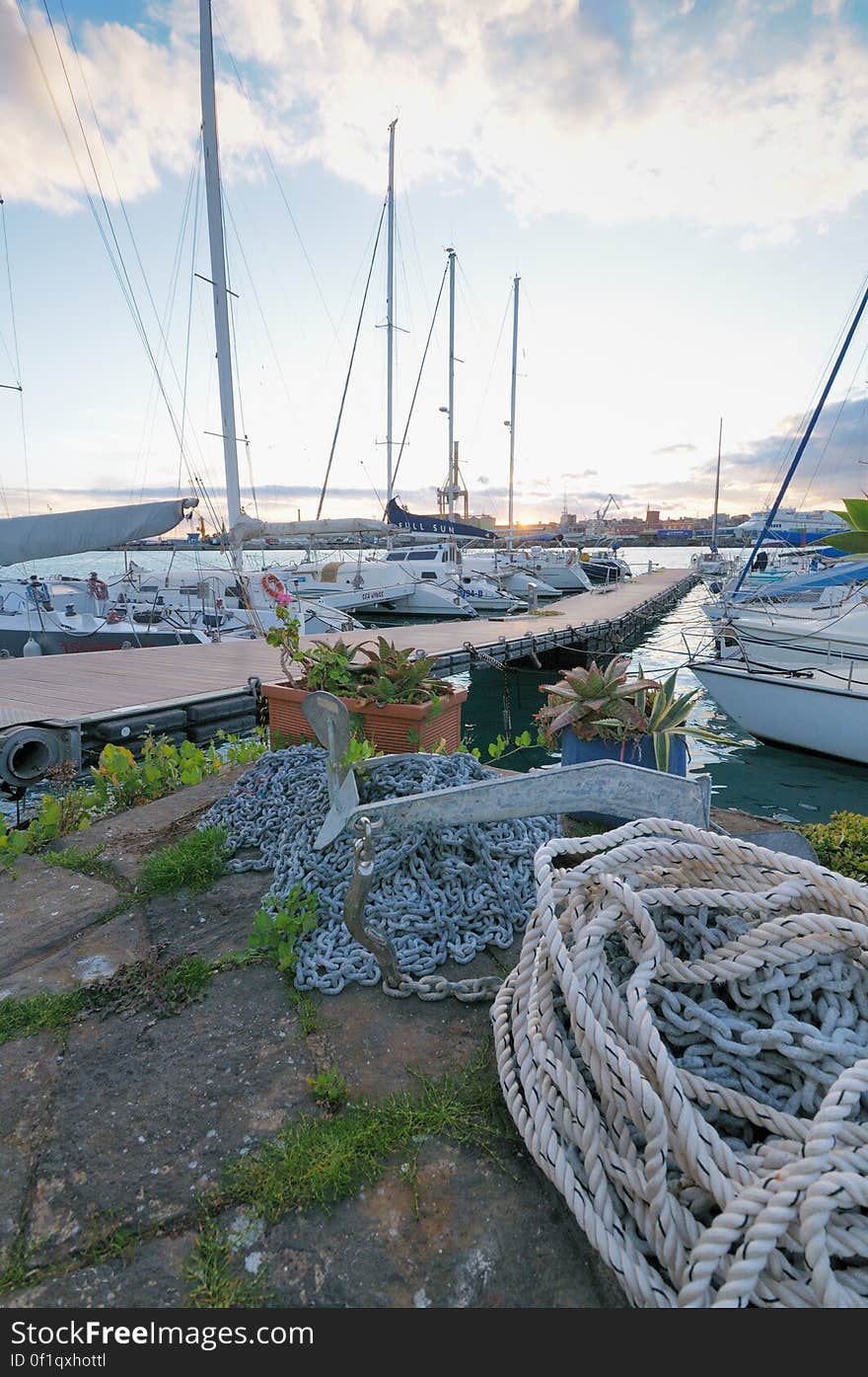 Il circolo nautico NIC viene fondato a Catania il 25/3/1972 e oggi conta oltre 600 iscritti tra soci, atleti, juniores e cadetti, coprendo una fascia di etÃ  che va dai bambini di 7 anni fino agli ultraottantenni, di ambo i sessi e di qualunque ceto sociale. Tessera ogni anno circa 500 soci sportivi con la Federazione Italiana Vela. Ha 7 dipendenti assunti a tempo pieno secondo il contratto nazionale di lavoro di categoria. Offre ormeggio a prezzi estremamente contenuti grazie al fatto di essere una associazione sportiva senza fini di lucro a circa 200 imbarcazioni che fanno attivitÃ  sportiva e consente in tal modo lâ€™esistenza di una nautica sociale e non di lusso che altrimenti sarebbe costretta a scomparire considerato il costo elevato di un posto barca negli altri ormeggi catanesi. Il Circolo Nic tra le varie associazioni sportive e culturali rappresenta da oltre un trentennio, il fiore allâ€™occhiello della cittÃ  e dellâ€™isola. Eâ€™ affiliato alla Federazione Italiana Vela &#x28;in cui alcuni soci ricoprono ed hanno ricoperto incarichi importanti&#x29; ed Ã¨ Centro CONI di Avviamento allo Sport. Offre ospitalitÃ  alle barche in transito di tutte le nazionalitÃ  al solo costo del rimborso spese ed avvalendosi di personale qualificato e poliglotta. Possiede una Scuola di Vela autorizzata dalla Federazione Italiana Vela che organizza corsi di Vela a basso costo ed aperti a tutti creando in tal modo il primo approccio dei giovani con il Mare e la Vela ed avvicinando ogni anno a questo sport numerosissimi bambini e ragazzi. Ha formato ragazzi catanesi, che hanno ottenuto brillanti affermazioni in prestigiose manifestazioni nazionali ed internazionali: uno dei nostri atleti, Nello Pavoni, nella scorsa edizione della Coppa America ha fatto parte dellâ€™equipaggio di &#x22;Mascalzone Latino&#x22; dopo avere vinto insieme a Francesco Calabretta nel 2000 il titolo Mondiale IMS..Inoltre fra i nostri atleti ricordiamo Lucio Di Mauro,nostro socio,che nel periodo fra il 1983 e il 1995 ha fatto parte della squadra nazionale di tavola a vela. In questo periodo ha conseguito numerosi successi nazionali e internazionali: campione del mondo classe Windsurfer, 2 medaglie d&#x27;argento alle Universiadi, 9Â°deg; alla pre-olimpica di Pusan &#x28;Seoul &#x27;98&#x29;, Campione italiano classe olimpica, Campione italiano classe Mistral, Campione italiano classe Race-board, Campione italiano Universitario, 2Â°deg; alla traversata Sicilia Malta. Ricordiamo ancora Domenico Dellâ€™Aria, Campione italiano nel 1985, che dopo numerose partecipazioni a Campionati Europei e Mondiali, dal 1988 al 1992 ricopre il ruolo di Tecnico Federale della Squadra Nazionale ed Olimpica di tavole a vela con cui partecipa alle Olimpiadi di Seul â€™88 e Barcellona â€™92. Il Circolo si distingue da un &#x22;marina&#x22; per la pratica dello sport, dellâ€™arte marinaresca e della cultura nautica che diffonde senza scopo di lucro, cosÃ¬ come previsto rigorosamente dallo Statuto, con la collaborazione di tutti i soci. Nello Sport abbiamo svolto nello scorso trentennio attivitÃ  sportive quali Campionati nazionali ed internazionali giovanili, Giro del mondo a vela con equipaggio familiare, Circumnavigazione dellâ€™Africa, Giro dâ€™Italia a vela, Traversata atlantica nel 1986 e nel 2005, partecipazioni vittoriose a campionati nazionali ed europei, Middle Sea Race, Siracusa-Malta, La Rotta del Sahara. Il Circolo ha di recente acquisito un ulteriore risultato che lo conferma come associazione efficacemente dedita al perseguimento di finalitÃ  di grande rilievo nello sport e nel sociale: ha ricevuto un importante riconoscimento dal Rotary International,con lâ€™ assegnazione del Premio Mannino 2005 &#x22;per avere sostenuto la pratica della vela come godimento e corretta fruizione della natura e per avere sempre proposto eventi nazionali ed internazionali che fanno conoscere i tanti aspetti del nostro mare e del nostro territorio.&#x22; Nel 2005 Ã¨ stato inserito, nella Clubswan Directory, costituito dagli Yacht Clubs piÃ¹ prestigiosi dâ€™Europa che svolgono una intensa ed importante attivitÃ  sportiva e culturale sul territorio per diffondere la conoscenza del Mare e della Vela. Il Circolo collabora da molti anni con le Scuole per iniziative che coinvolgono gli studenti per trasmettere la cultura del Mare. Interagiamo da circa 10 anni con lâ€™Istituto Nautico &#x22;Duca degli Abruzzi&#x22; di Catania con cui abbiamo stipulato nel 2003 un Protocollo dâ€™Intesa in cui viene riconosciuto ufficialmente al Circolo il ruolo di &#x22;soggetto formatore di percorsi didattici nel sistema di istruzione e di formazione professionale, nel settore della nautica, delle attivitÃ  marinare, del turismo nautico, della tecnica e delle varie attivitÃ  collegate al diporto ed alle aree portuali.&#x22; Tale protocollo Ã¨ il primo che Ã¨ stato siglato in Italia fra un Istituto Scolastico di Pubblica Istruzione ed un Circolo Nautico. Il Circolo ha costituito un gruppo donatori di sangue e organizza una regata a favore dellâ€™AVIS di Catania. Il Circolo Nic settimanalmente organizza tavole rotonde ed incontri con specialisti del settore su vari argomenti, quali le correnti di marea nello Stretto di Messina, Oceanografia, Navigazione piana, Navigazione Astronomica, Navigazione strumentale, Navigazione integrata, Meteorologia, Arte della navigazione a remi e a vela latina, galateo marinaresco. Il Circolo ha organizzato conferenze sullâ€™abbattimento delle barriere architettoniche nella nautica, e nellâ€™ambito di tali manifestazioni ha ospitato il catamarano &#x22;Spirito di Stella&#x22;. Il Circolo Ã¨ un luogo ove Ã¨ possibile avere scambi di opinioni e di esperienze. Ãˆ nostra convinzione, infatti, che il bagaglio di conoscenze ed esperienze accumulate in tanti anni nel settore della Nautica non debba essere disperso, ma debba invece essere trasmesso agli altri. Il Nic si presenta come una realtÃ  unica con un&#x27;attivitÃ  che contribuisce all&#x27;elevazione morale dei giovani diffondendo una cultura del mare che possa cosÃ¬ essere sempre piÃ¹ presente nelle nuove generazioni. Il circolo nautico NIC viene fondato a Catania il 25/3/1972 e oggi conta oltre 600 iscritti tra soci, atleti, juniores e cadetti, coprendo una fascia di etÃ  che va dai bambini di 7 anni fino agli ultraottantenni, di ambo i sessi e di qualunque ceto sociale. Tessera ogni anno circa 500 soci sportivi con la Federazione Italiana Vela. Ha 7 dipendenti assunti a tempo pieno secondo il contratto nazionale di lavoro di categoria. Offre ormeggio a prezzi estremamente contenuti grazie al fatto di essere una associazione sportiva senza fini di lucro a circa 200 imbarcazioni che fanno attivitÃ  sportiva e consente in tal modo lâ€™esistenza di una nautica sociale e non di lusso che altrimenti sarebbe costretta a scomparire considerato il costo elevato di un posto barca negli altri ormeggi catanesi. Il Circolo Nic tra le varie associazioni sportive e culturali rappresenta da oltre un trentennio, il fiore allâ€™occhiello della cittÃ  e dellâ€™isola. Eâ€™ affiliato alla Federazione Italiana Vela &#x28;in cui alcuni soci ricoprono ed hanno ricoperto incarichi importanti&#x29; ed Ã¨ Centro CONI di Avviamento allo Sport. Offre ospitalitÃ  alle barche in transito di tutte le nazionalitÃ  al solo costo del rimborso spese ed avvalendosi di personale qualificato e poliglotta. Possiede una Scuola di Vela autorizzata dalla Federazione Italiana Vela che organizza corsi di Vela a basso costo ed aperti a tutti creando in tal modo il primo approccio dei giovani con il Mare e la Vela ed avvicinando ogni anno a questo sport numerosissimi bambini e ragazzi. Ha formato ragazzi catanesi, che hanno ottenuto brillanti affermazioni in prestigiose manifestazioni nazionali ed internazionali: uno dei nostri atleti, Nello Pavoni, nella scorsa edizione della Coppa America ha fatto parte dellâ€™equipaggio di &#x22;Mascalzone Latino&#x22; dopo avere vinto insieme a Francesco Calabretta nel 2000 il titolo Mondiale IMS..Inoltre fra i nostri atleti ricordiamo Lucio Di Mauro,nostro socio,che nel periodo fra il 1983 e il 1995 ha fatto parte della squadra nazionale di tavola a vela. In questo periodo ha conseguito numerosi successi nazionali e internazionali: campione del mondo classe Windsurfer, 2 medaglie d&#x27;argento alle Universiadi, 9Â°deg; alla pre-olimpica di Pusan &#x28;Seoul &#x27;98&#x29;, Campione italiano classe olimpica, Campione italiano classe Mistral, Campione italiano classe Race-board, Campione italiano Universitario, 2Â°deg; alla traversata Sicilia Malta. Ricordiamo ancora Domenico Dellâ€™Aria, Campione italiano nel 1985, che dopo numerose partecipazioni a Campionati Europei e Mondiali, dal 1988 al 1992 ricopre il ruolo di Tecnico Federale della Squadra Nazionale ed Olimpica di tavole a vela con cui partecipa alle Olimpiadi di Seul â€™88 e Barcellona â€™92. Il Circolo si distingue da un &#x22;marina&#x22; per la pratica dello sport, dellâ€™arte marinaresca e della cultura nautica che diffonde senza scopo di lucro, cosÃ¬ come previsto rigorosamente dallo Statuto, con la collaborazione di tutti i soci. Nello Sport abbiamo svolto nello scorso trentennio attivitÃ  sportive quali Campionati nazionali ed internazionali giovanili, Giro del mondo a vela con equipaggio familiare, Circumnavigazione dellâ€™Africa, Giro dâ€™Italia a vela, Traversata atlantica nel 1986 e nel 2005, partecipazioni vittoriose a campionati nazionali ed europei, Middle Sea Race, Siracusa-Malta, La Rotta del Sahara. Il Circolo ha di recente acquisito un ulteriore risultato che lo conferma come associazione efficacemente dedita al perseguimento di finalitÃ  di grande rilievo nello sport e nel sociale: ha ricevuto un importante riconoscimento dal Rotary International,con lâ€™ assegnazione del Premio Mannino 2005 &#x22;per avere sostenuto la pratica della vela come godimento e corretta fruizione della natura e per avere sempre proposto eventi nazionali ed internazionali che fanno conoscere i tanti aspetti del nostro mare e del nostro territorio.&#x22; Nel 2005 Ã¨ stato inserito, nella Clubswan Directory, costituito dagli Yacht Clubs piÃ¹ prestigiosi dâ€™Europa che svolgono una intensa ed importante attivitÃ  sportiva e culturale sul territorio per diffondere la conoscenza del Mare e della Vela. Il Circolo collabora da molti anni con le Scuole per iniziative che coinvolgono gli studenti per trasmettere la cultura del Mare. Interagiamo da circa 10 anni con lâ€™Istituto Nautico &#x22;Duca degli Abruzzi&#x22; di Catania con cui abbiamo stipulato nel 2003 un Protocollo dâ€™Intesa in cui viene riconosciuto ufficialmente al Circolo il ruolo di &#x22;soggetto formatore di percorsi didattici nel sistema di istruzione e di formazione professionale, nel settore della nautica, delle attivitÃ  marinare, del turismo nautico, della tecnica e delle varie attivitÃ  collegate al diporto ed alle aree portuali.&#x22; Tale protocollo Ã¨ il primo che Ã¨ stato siglato in Italia fra un Istituto Scolastico di Pubblica Istruzione ed un Circolo Nautico. Il Circolo ha costituito un gruppo donatori di sangue e organizza una regata a favore dellâ€™AVIS di Catania. Il Circolo Nic settimanalmente organizza tavole rotonde ed incontri con specialisti del settore su vari argomenti, quali le correnti di marea nello Stretto di Messina, Oceanografia, Navigazione piana, Navigazione Astronomica, Navigazione strumentale, Navigazione integrata, Meteorologia, Arte della navigazione a remi e a vela latina, galateo marinaresco. Il Circolo ha organizzato conferenze sullâ€™abbattimento delle barriere architettoniche nella nautica, e nellâ€™ambito di tali manifestazioni ha ospitato il catamarano &#x22;Spirito di Stella&#x22;. Il Circolo Ã¨ un luogo ove Ã¨ possibile avere scambi di opinioni e di esperienze. Ãˆ nostra convinzione, infatti, che il bagaglio di conoscenze ed esperienze accumulate in tanti anni nel settore della Nautica non debba essere disperso, ma debba invece essere trasmesso agli altri. Il Nic si presenta come una realtÃ  unica con un&#x27;attivitÃ  che contribuisce all&#x27;elevazione morale dei giovani diffondendo una cultura del mare che possa cosÃ¬ essere sempre piÃ¹ presente nelle nuove generazioni.