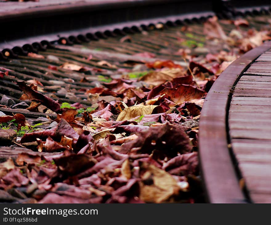 Brown Dried Leaf over Black Rail