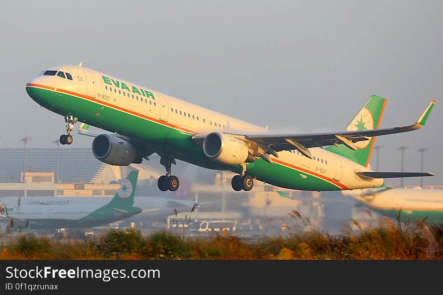 Eva Air jet airliner (from a company based in Taiwan) in green red and cream colors taking off and just above bushes on the airport perimeter, pale gray sky. Eva Air jet airliner (from a company based in Taiwan) in green red and cream colors taking off and just above bushes on the airport perimeter, pale gray sky.