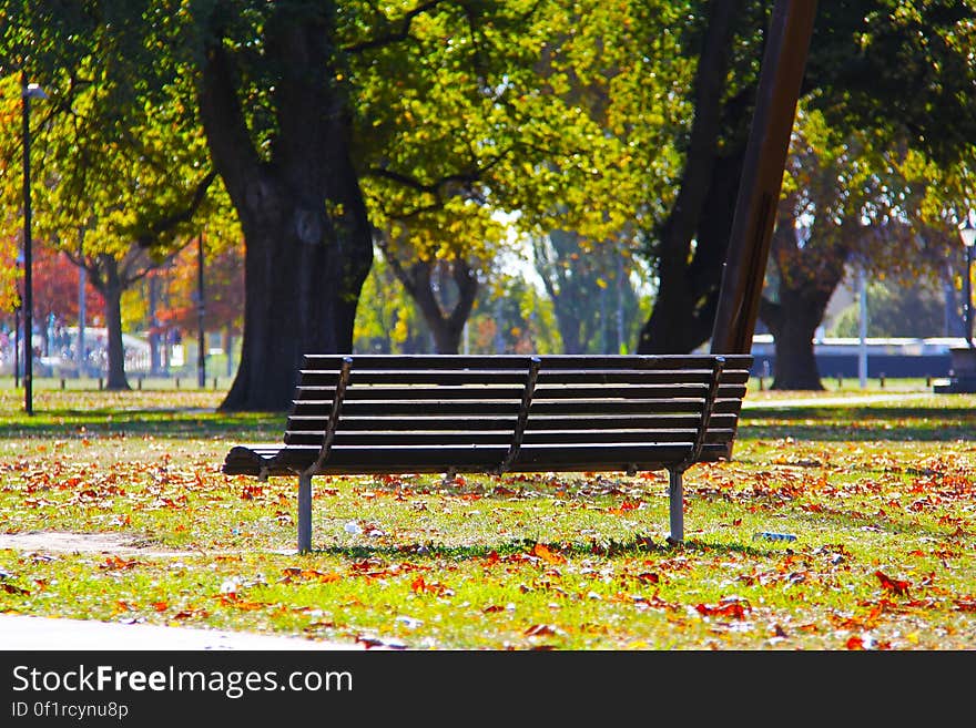 Black Wooden Bench on Green Grass