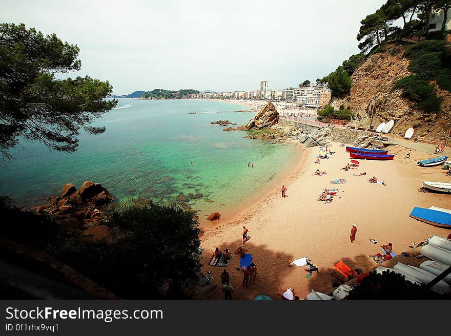 Aerial View of Beach Surrounded by Trees