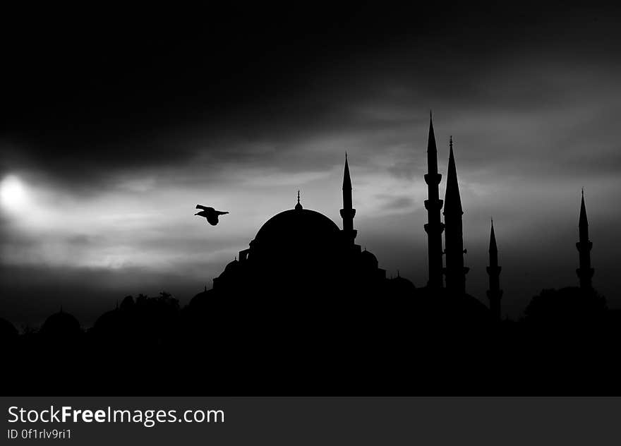 Black and white silhouette of a bird flying through a darkened sky, past sphere and spire shaped buildings. Black and white silhouette of a bird flying through a darkened sky, past sphere and spire shaped buildings.