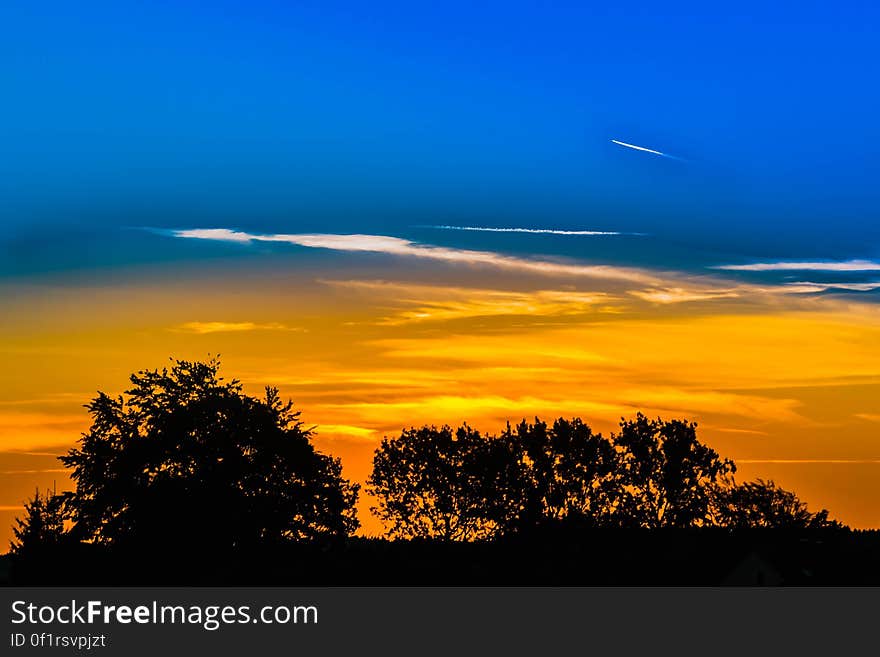 A sunset over a small forest. A sunset over a small forest.