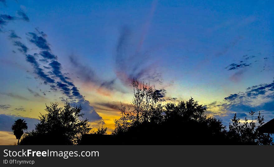 Sunset in blue skies over treetops. Sunset in blue skies over treetops.