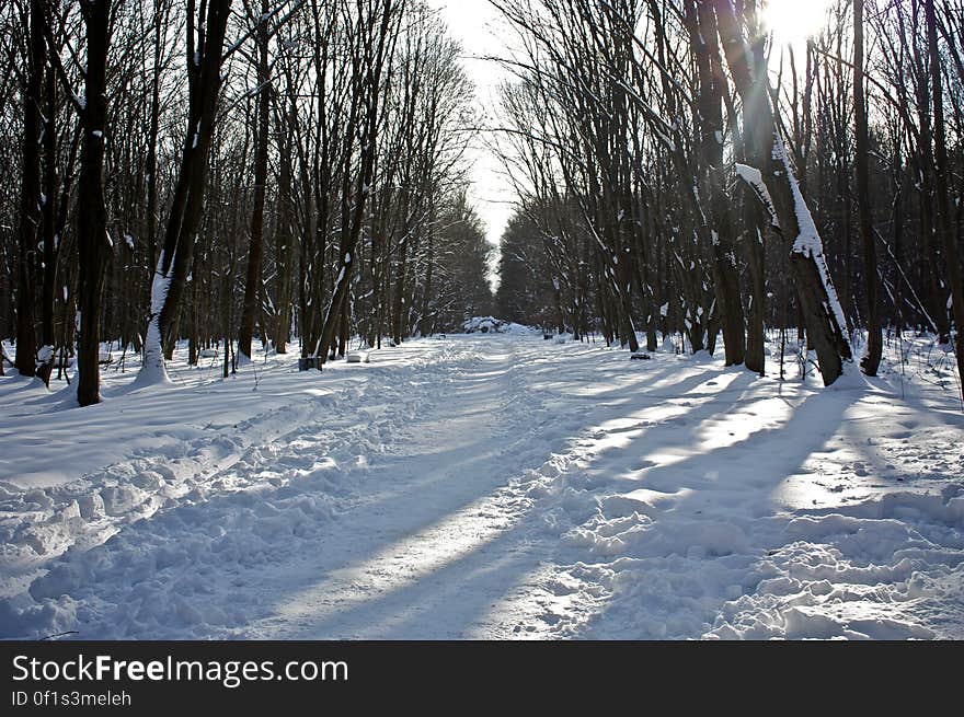 Location: Park Zwierzyniecki, BiaÅ‚ystok, Poland