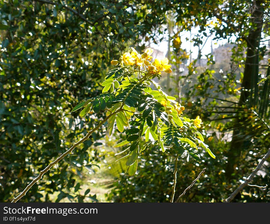 At the Barcelona botanic garden. At the Barcelona botanic garden.