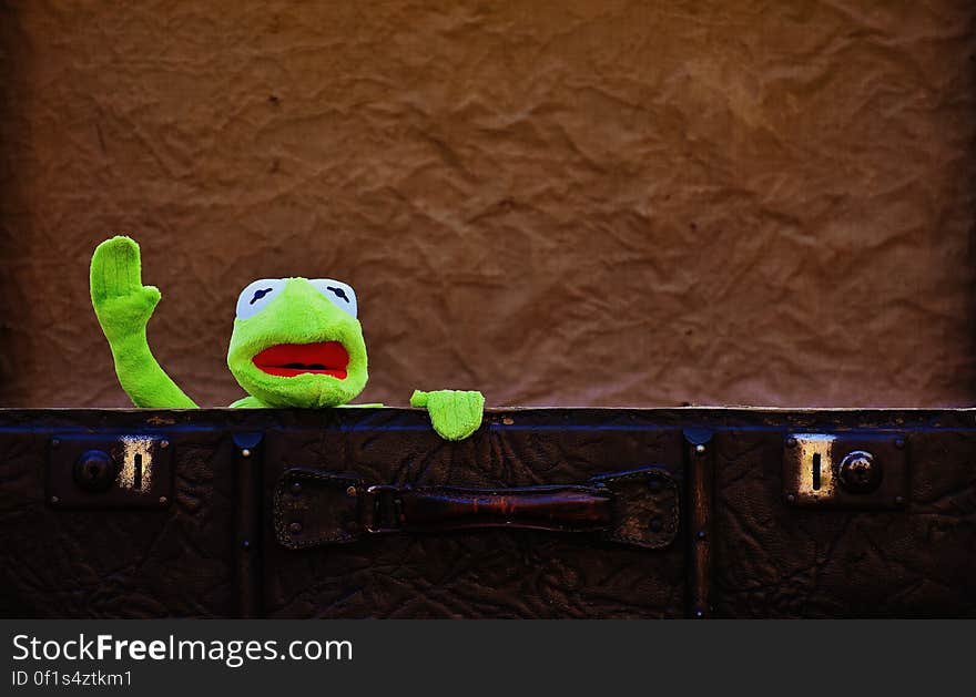 A plush frog in an old suitcase. A plush frog in an old suitcase.