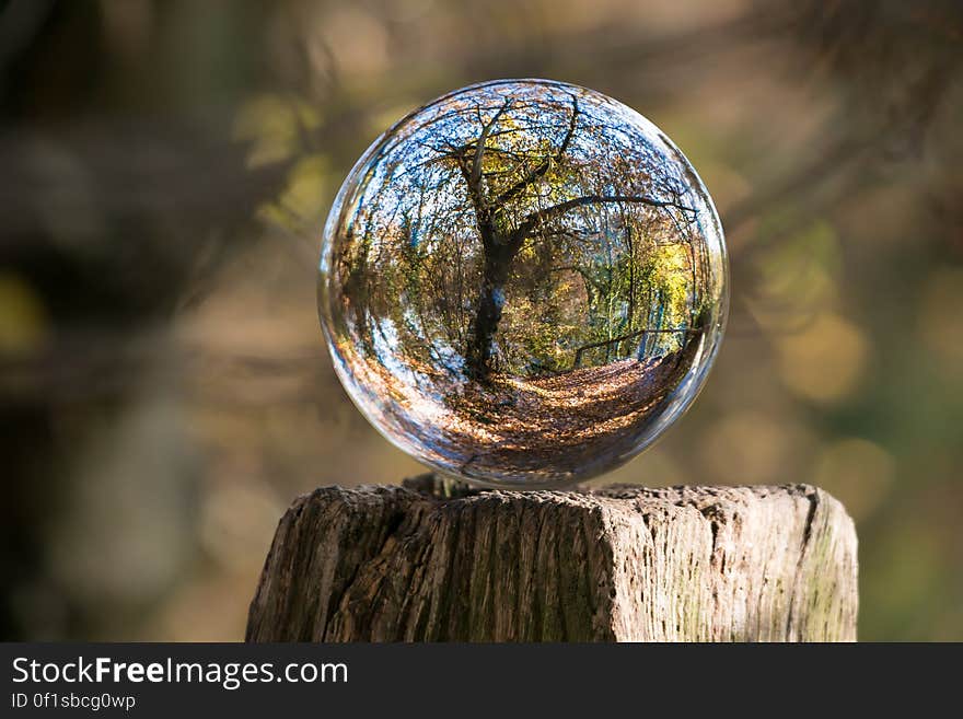 Glass ball on wooden post reflecting forest trees. Glass ball on wooden post reflecting forest trees.