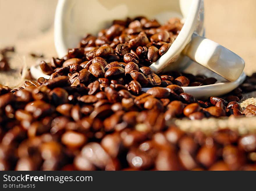 Shallow Focus of Coffee Beans on White Ceramic Cup