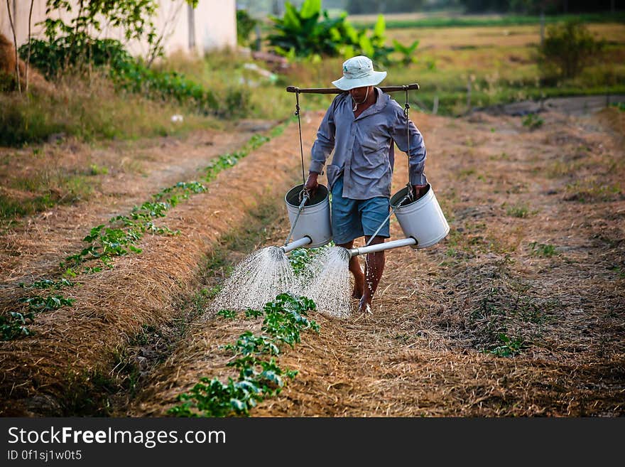 Man Watering the Plant during Daytime