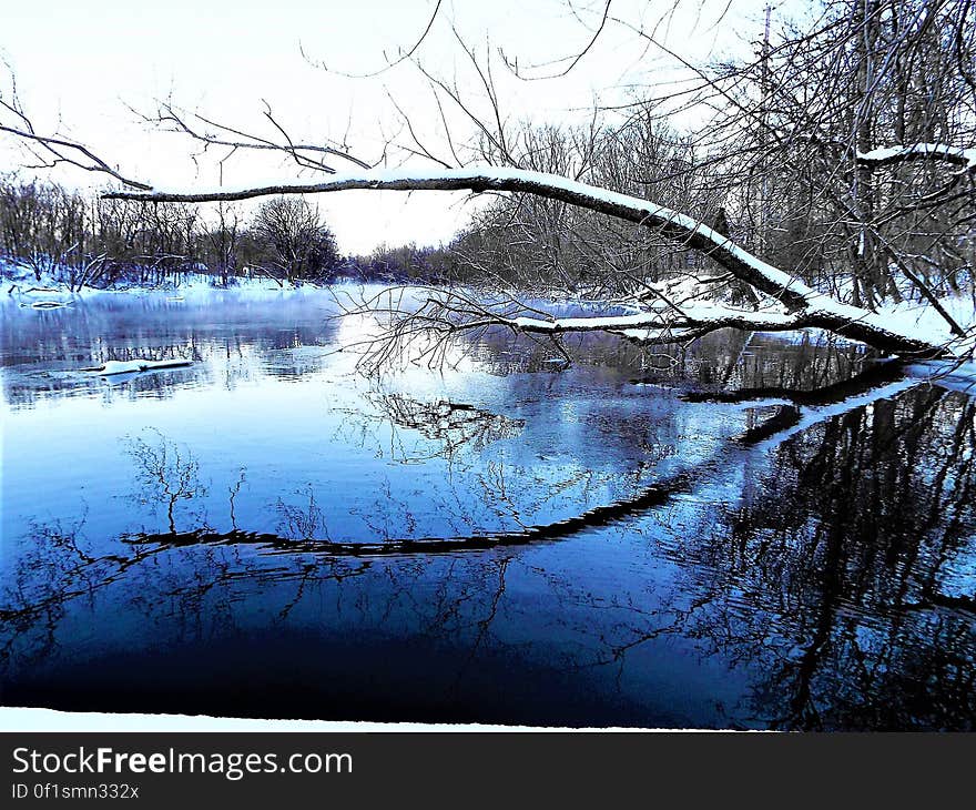 A tree hanging over water in the winter.