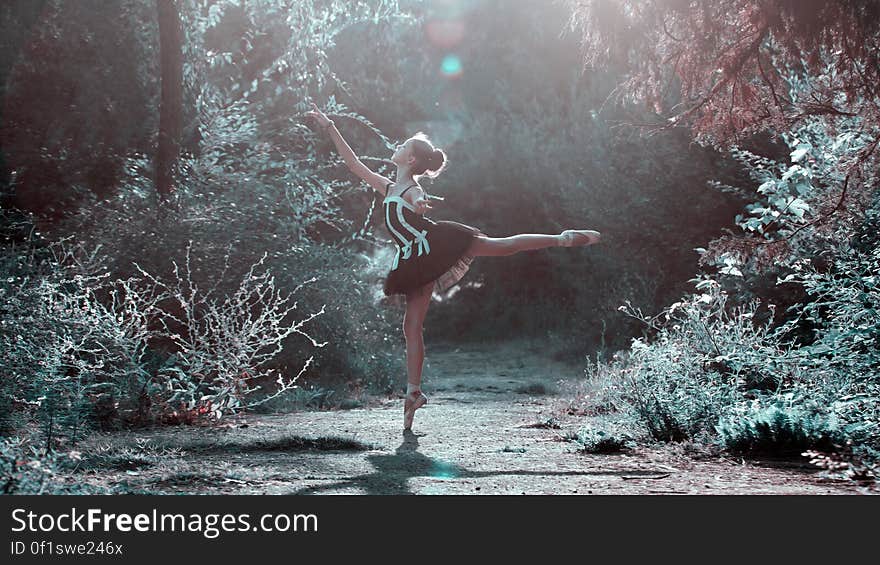 Young ballet dancer with hair in a bun performing in a brightly lit frost covered forest glade. Young ballet dancer with hair in a bun performing in a brightly lit frost covered forest glade.