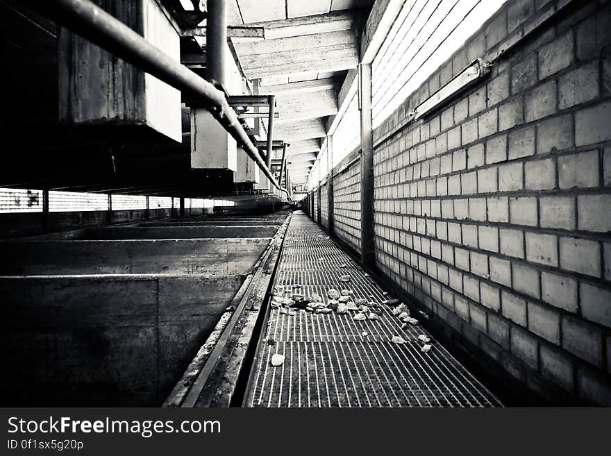 Grayscale Photography of a Pathway