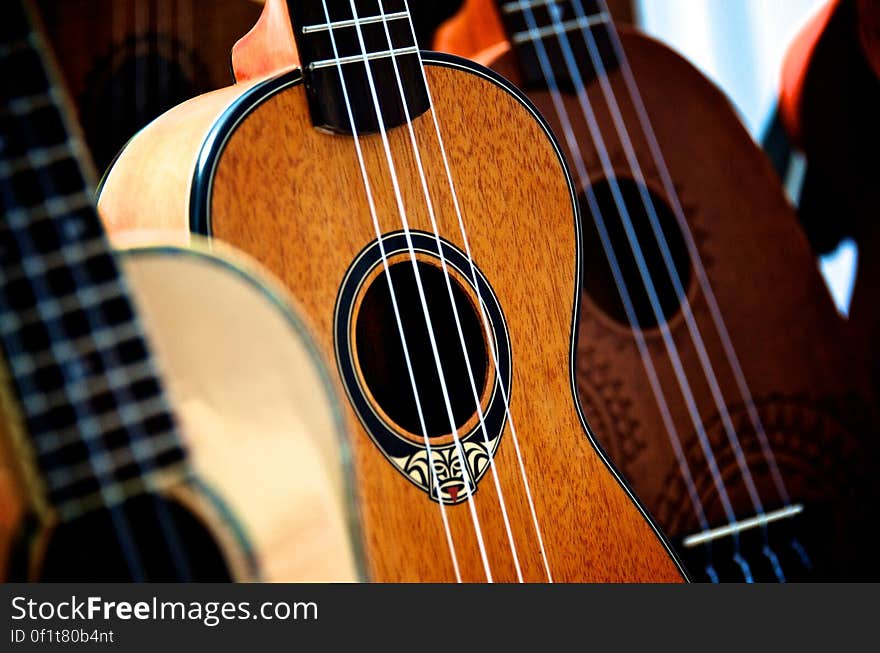 Close-up of Guitar